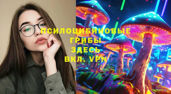 прущий лед Арсеньев