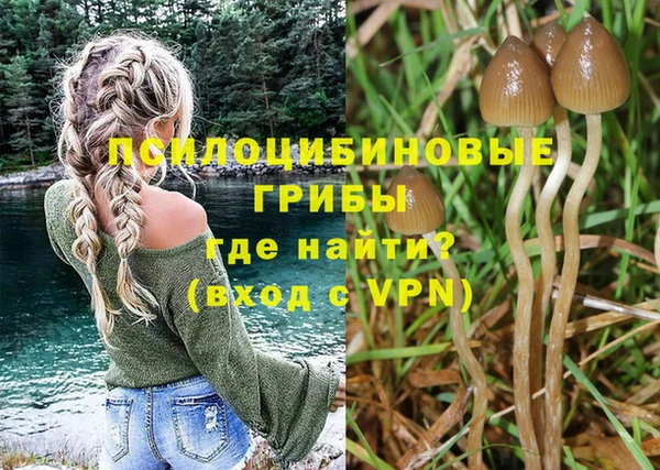 прущий лед Арсеньев