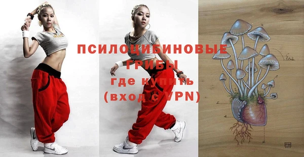 прущий лед Арсеньев